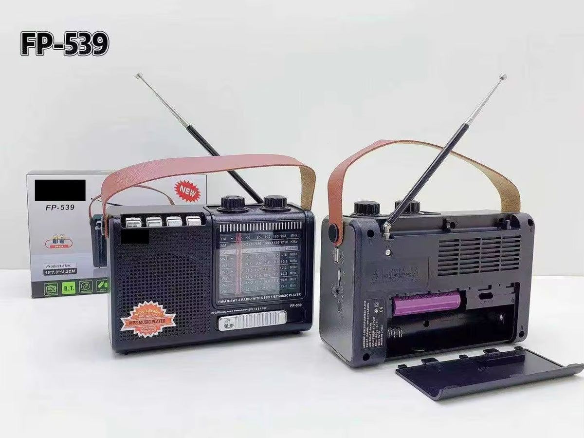 📻 Radio Bluetooth FP-539