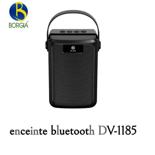 Bluetooth solaire DV-1185